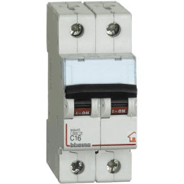 BTDIN-RS-MAGNETOT C16 2P 2M 4500A