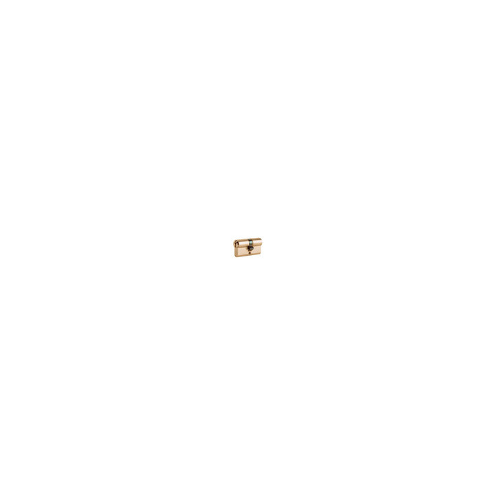 ISEO F5 8209 CILINDRO SAGOMATO 40-40 OTTONATO C/3CH