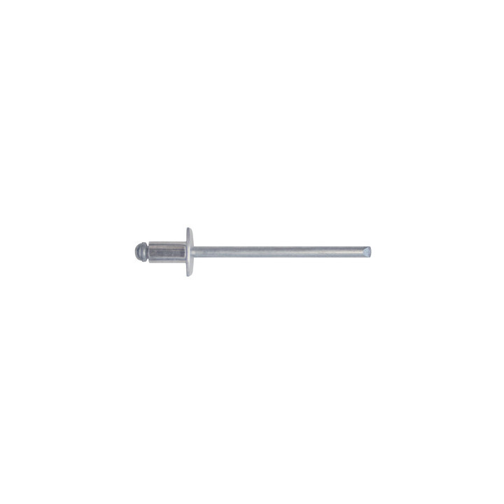 CONF RIVETTI ALLUMINIO 4,0X06 DA 100 PZ